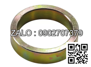 Phụ tùng XCMG Z3.8-7,250100127