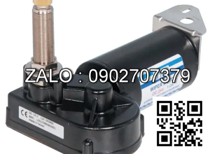 Motor gạt nước YGDJ-12V-XS