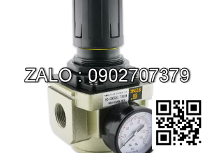 Bộ điều áp ( hãng STNC) TR5000-06