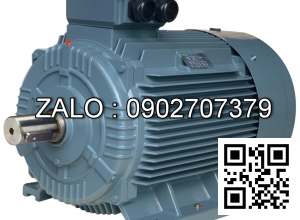Motor 3 pha 5HP 3.7KW ( cốt âm - 19mm )
