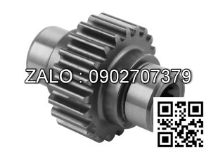 OIL PUMP GEAR 9T S6KT 34335-03021