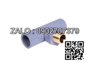 Tê nhựa ren ngoài 114 Bình Minh