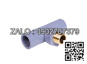 Tê nhựa giảm T RT 34/21 Tiền Phong