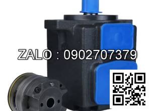 Bơm cánh gạt Yukem SVPF - 30