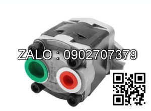 Bơm thủy lực bánh răng CBHZ-F31.5-AL-L