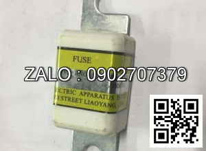 Cầu chì 200A-150V TCM