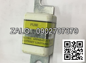 Cầu chì 150V 350A