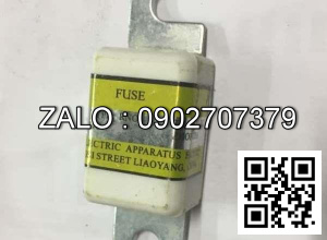 Cầu chì 250A 150V