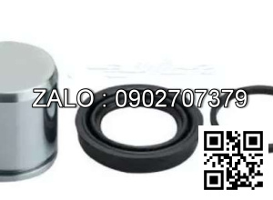 Bộ pít tông heo thắng xe nâng