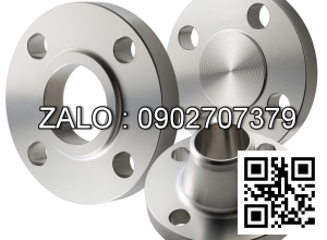 Mặt bích Inox SUS304 BS4504 PN10 RF DN25 dầy 14ly