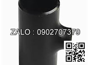 Tê hàn giảm Inox 304-1 SCH10 DN80/32