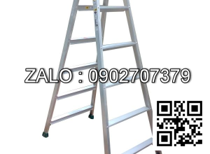 Thang gấp 2 đoạn Tungshing AS-15