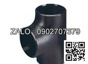 Tê hàn SCH10 gang DN250