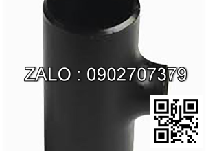 Tê hàn giảm gang SCH10 DN40/20