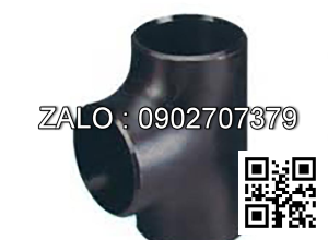Tê hàn SCH40 gang DN300