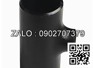 Tê hàn giảm gang SCH40 DN40/20