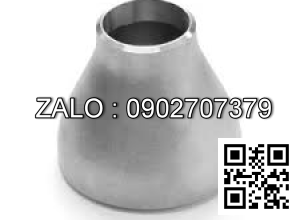 Bầu hàn giảm đồng tâm SCH40 gang DN65/20