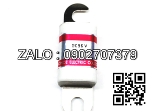 FUSE 100 AMP BFS-100