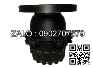 Rọ rôm mặt bích JIS 10K mạ kẽm DN80