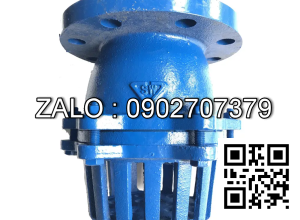 Rọ bơm mặt bích PN16 mạ kẽm DN32