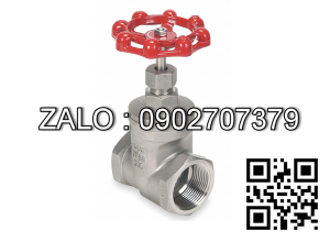 Van cửa ren mạ kẽm DN8