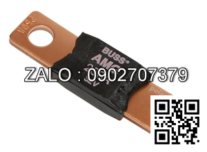 FUSE 250 AMP 2003096