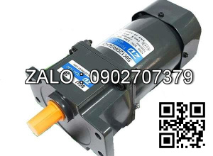 Bộ điều chỉnh tốc độ động cơ giảm tốc mini Wanshsin 6W-250W Model : WS-P