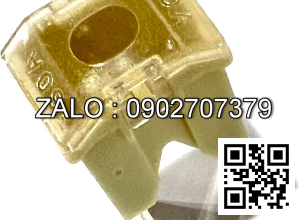 Fuse A22A2-40900D-60A-Y