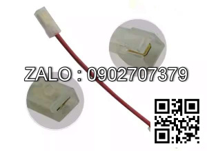 Fuse A22A2-40900DX