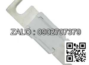 Fuse 80V100A
