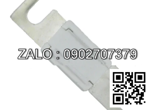 Fuse 80V250A