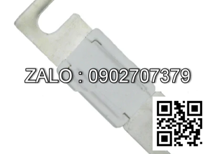 Fuse 80V300A