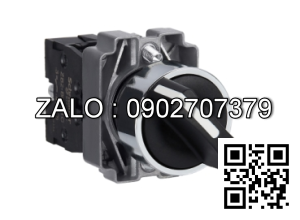 Công tắc 2 vị trí tự giữ XB2-BD21C