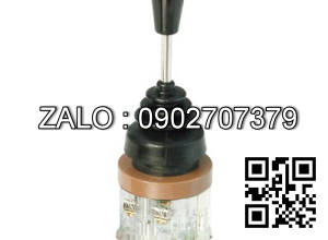 Công tắc cần gạt 4 vị trí tự hồi LEL-04-1