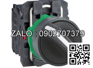 Công tắc XB5AD25