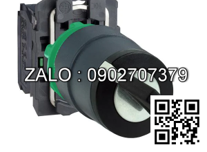 Công tắc XB5AD53N