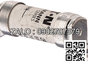 Fuse 63A690V phi 16*47*76mm Cau chi su Fuse 63FE, 63A/690V phi 16*47*77mm, co past hai dau, NSX: BUSSMANN MADE IN INDIA