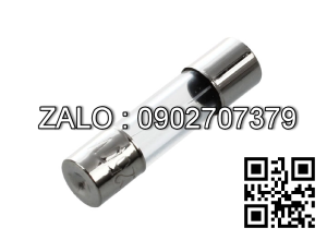 Fuse 16A, 500V, phi 10*38mm Cau chi ong thuy tinh, 16A, 500V phi 10*38