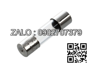 Fuse 20A, 500V, phi 14*51mm Cau chi ong su, 20A, 500V, phi 14*51mm