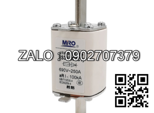 Cầu chì sứ, MIRO RS0 RGS32 aR 250A 200A 150A