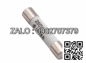 Cầu chì RO55, 250V - 2A