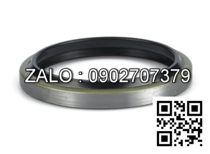 Phốt DKB 160x180x10/14 Nok