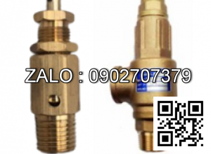 Van an toàn khí nén ren ngoài phi 21