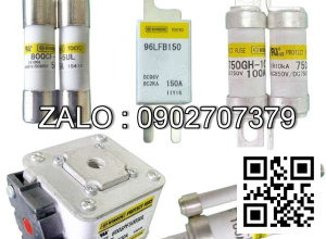 Cầu chì 170M1571D, 250A - 690V