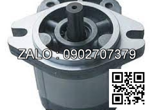 Bơm thủy lực SAP10S6.3RS1 Aseda Korea