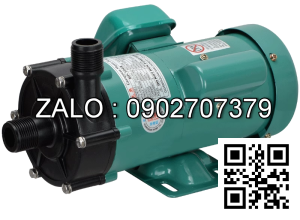 Máy Bơm TW-15R/220V ( Đầu bơm nhựa )