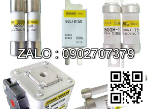 Cầu chì Italweber 1500680 80A 500V