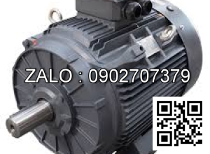 Motor điện 3 pha HM2EJ-160L-6, 11kW