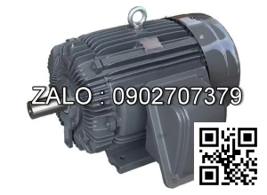 Motor điện dùng cho căng 8 trục 2 Y2TSP315M-8, 75kW