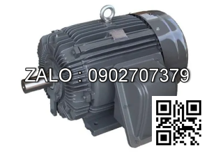 Motor điện WEG 45Kw,380V,50Hz,1460 r/min(4P), Model 225S/M kiểu lắp Chân đế